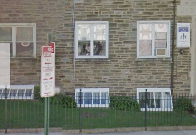 window well cover images